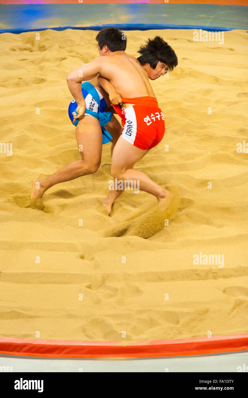 Two male ssireum wrestlers, a traditional Korean national sport similar to sumo, grappling and trying to throw each other down Stock Photo