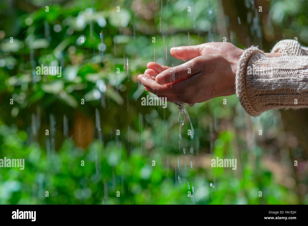 Woman hand touches water rain droplets fresh green background Stock Photo