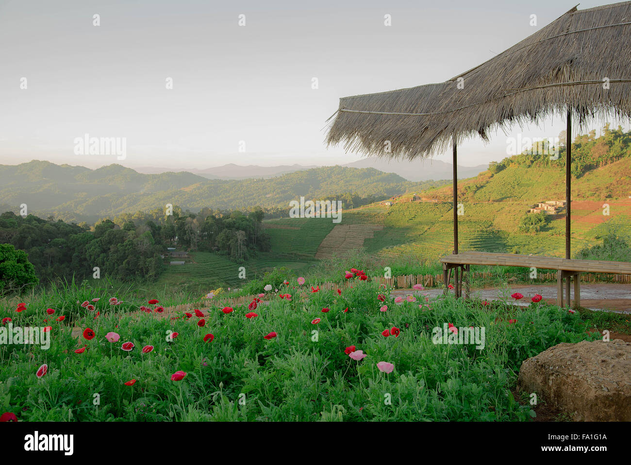 View dawn with golden light on the hill at Chiang Mai, Thailand. Stock Photo