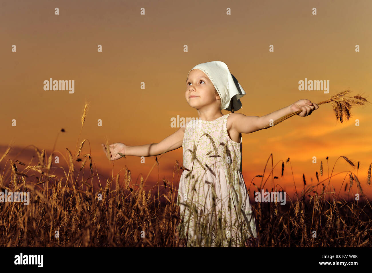 Little girl in wheat field Stock Photo - Alamy