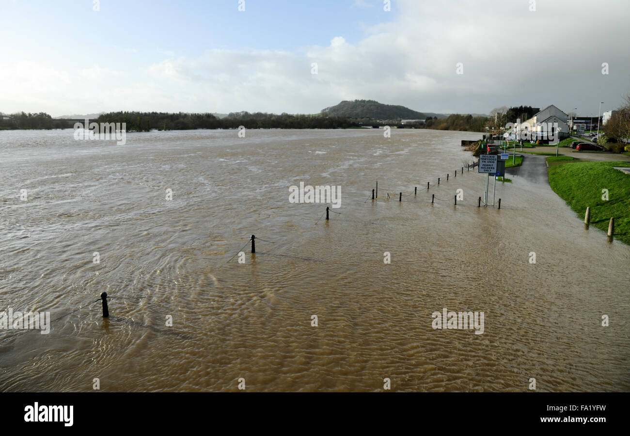 South Wales, UK, Sunday 20th December 2015. The river Towy bursts its banks on Carmarthen quayside and floods the low lying surrounding land following prolonged heavy rain during Saturday in Carmarthenshire, west Wales UK. View overlooking river Towy from pedestrian footbridge. Credit:  Algis Motuza/Alamy Live News Stock Photo