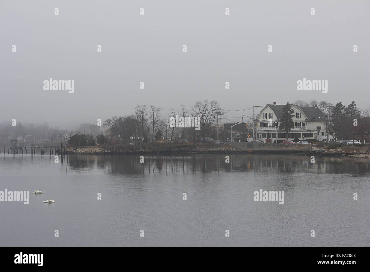 Foggy Days- An image showing a landmass with two swans on the waterfront at Manorhaven Isle New York Winter 2015 Stock Photo