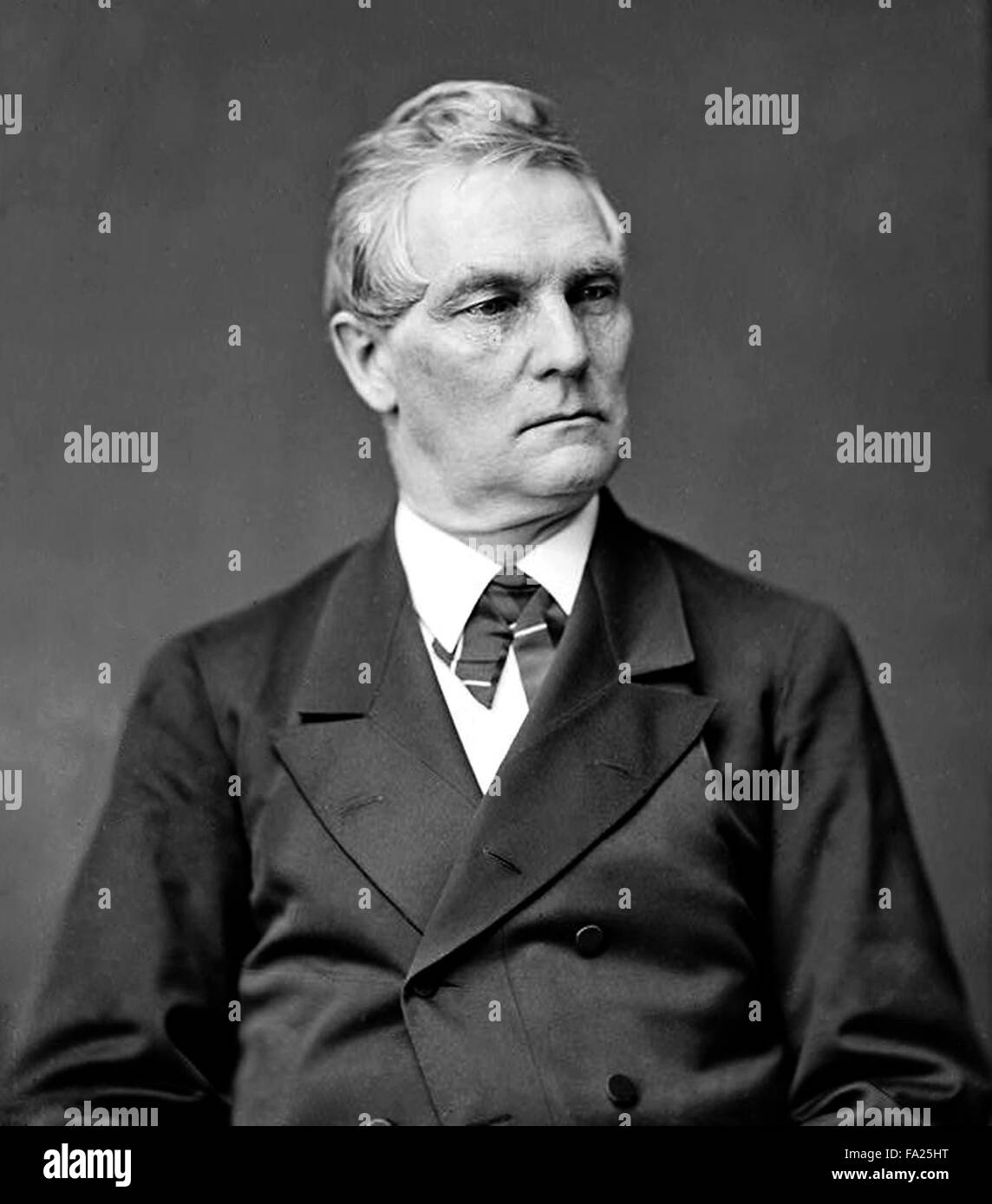 William Almon Wheeler was the 19th Vice President of the United States (1877–1881). Stock Photo