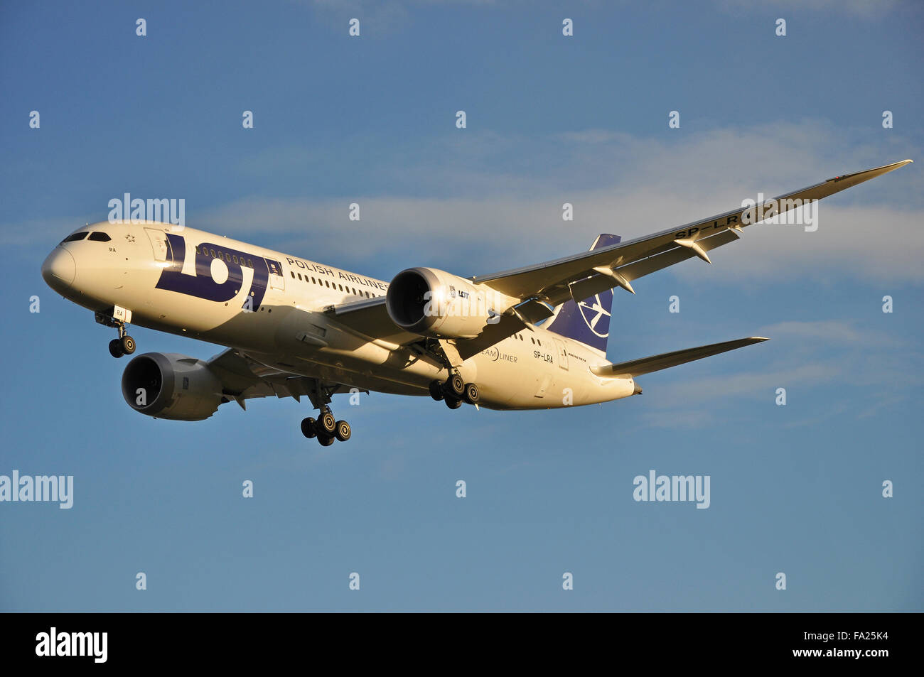 LOT - Polish Airlines Boeing 787-8 Dreamliner jet plane airliner - SP-LRA landing at London Heathrow Airport, UK in blue sky. Space for copy Stock Photo
