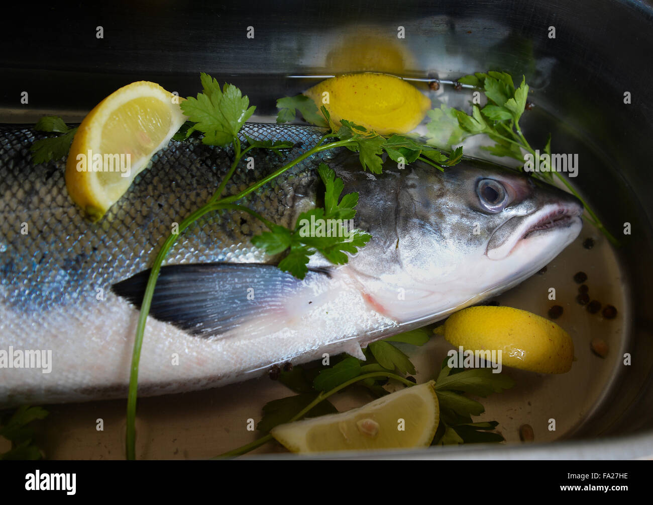 A whole fresh salmon prepared and ready to be cooked Stock Photo