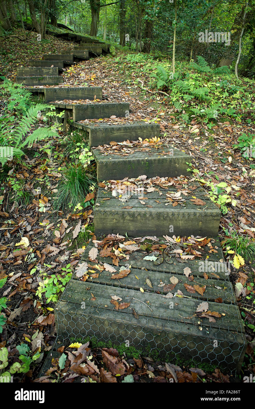 Benthall Steps rising through woodland to Broseley from the River