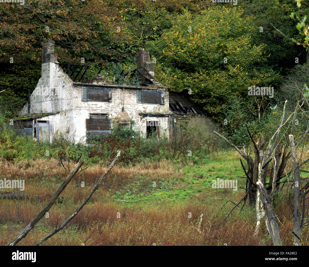 An Abandoned Cottage At Broseley Ironbridge Shropshire England