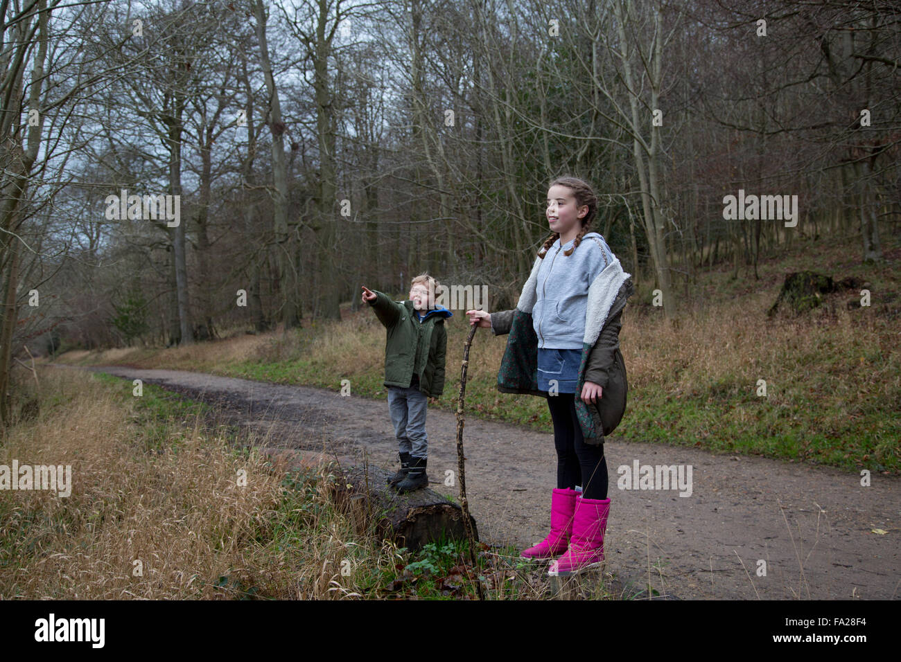 Brother & Sister playing in the woods Stock Photo - Alamy