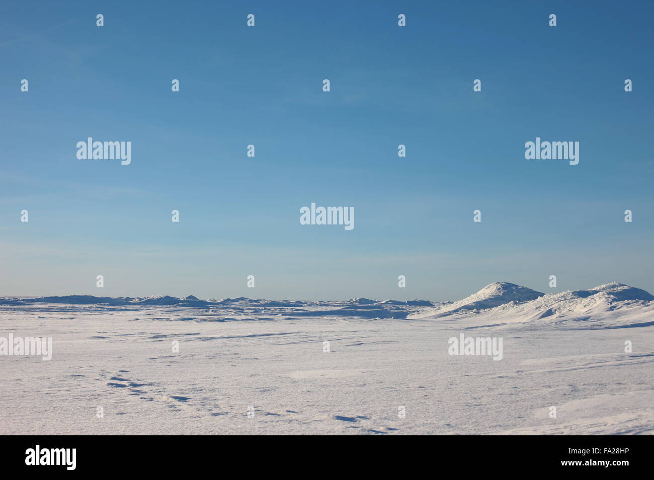 the Arctic landscape. snow plain and sky Stock Photo