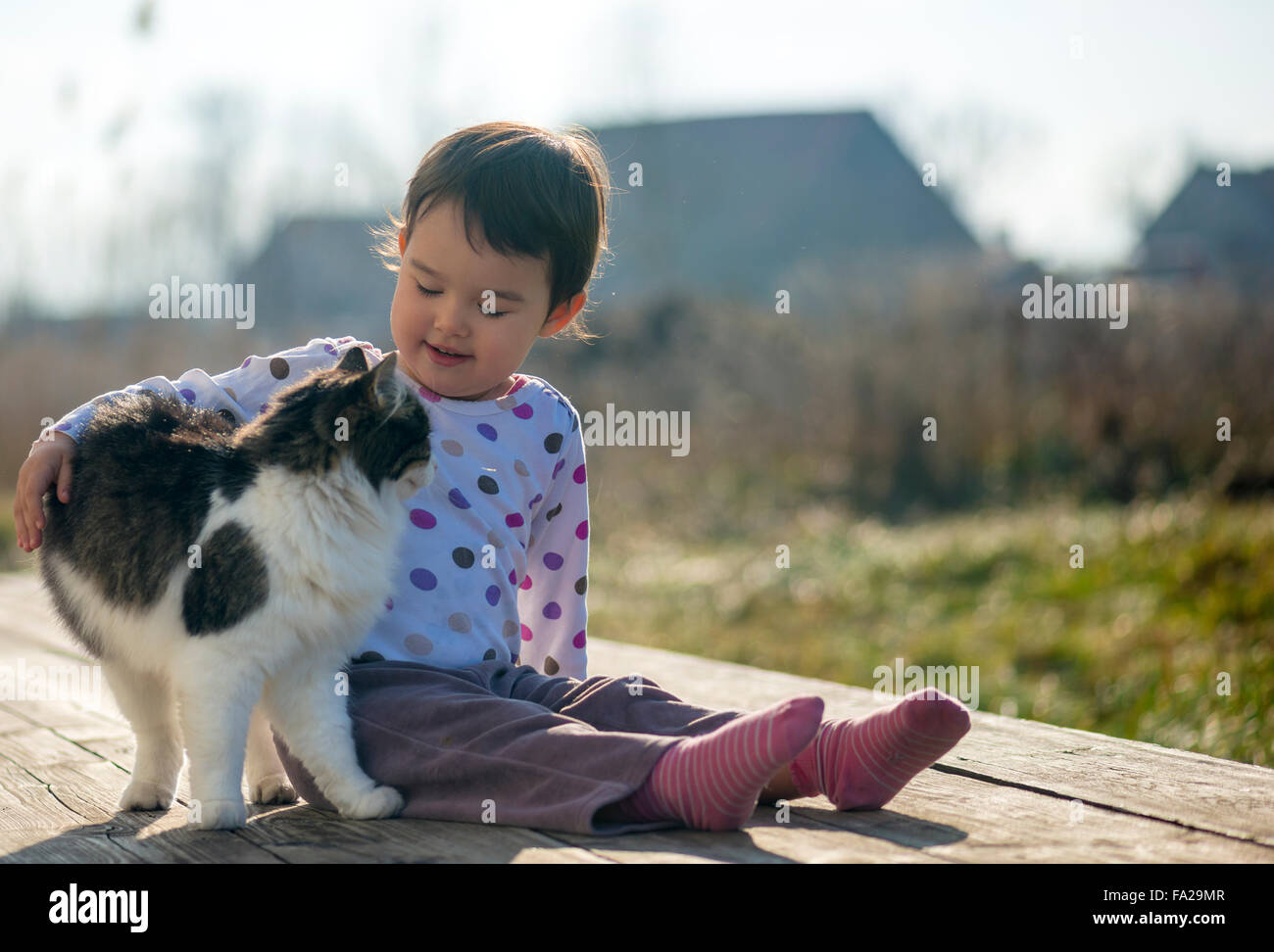 Little Girl and cat play outside Stock Photo Alamy