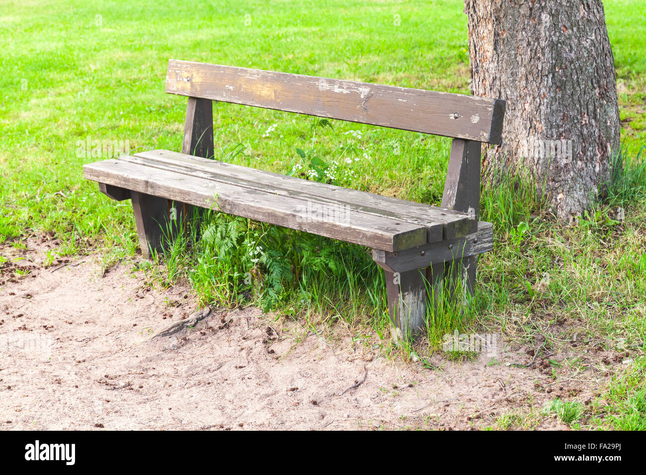 Old wooden bench on roadside in summer park Stock Photo