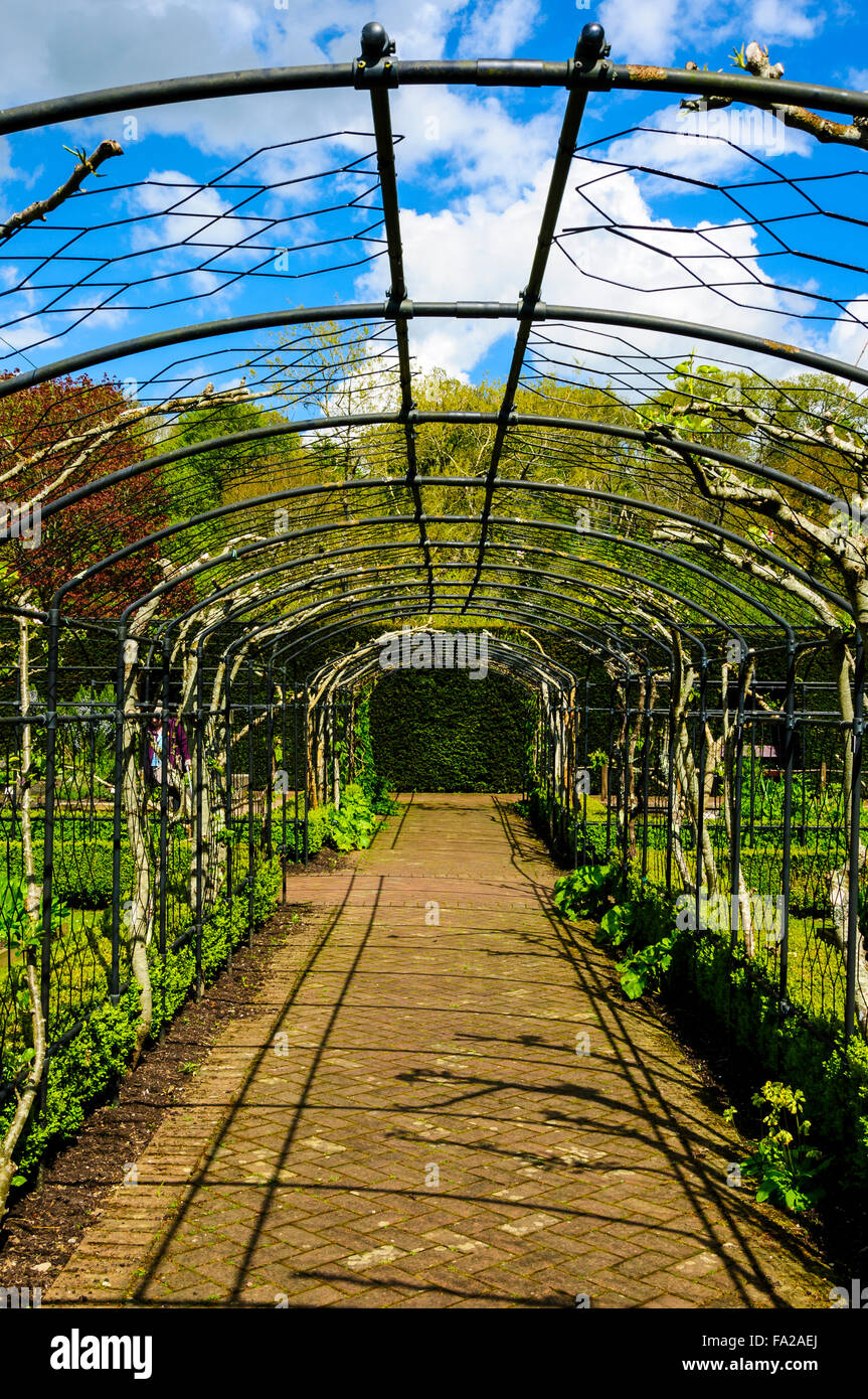 A rose covered  arcaded walk passes through the physic garden which displays a large variety of herbs and poisonous plants Stock Photo