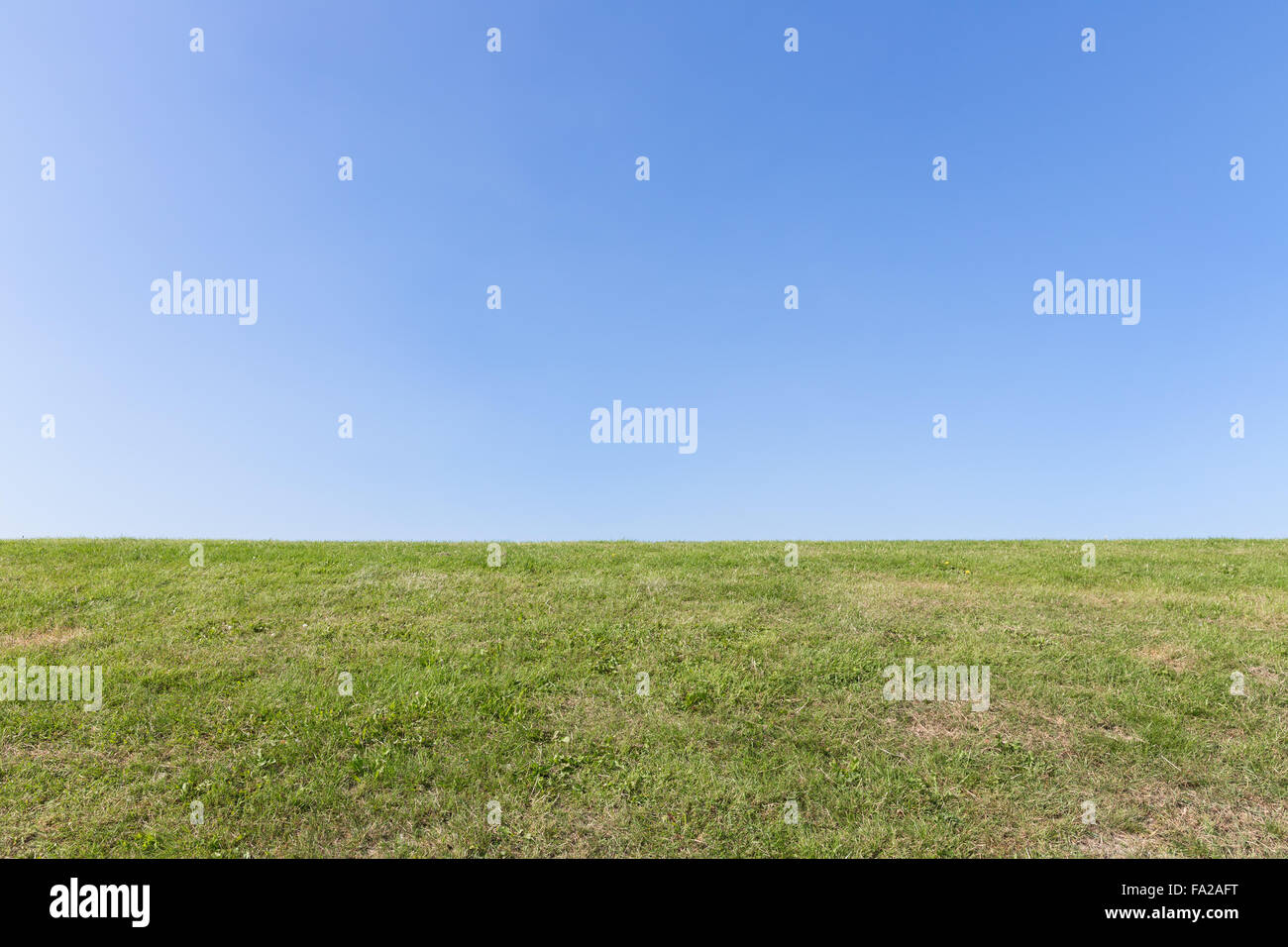 Nature background, green grass and blue sky Stock Photo - Alamy