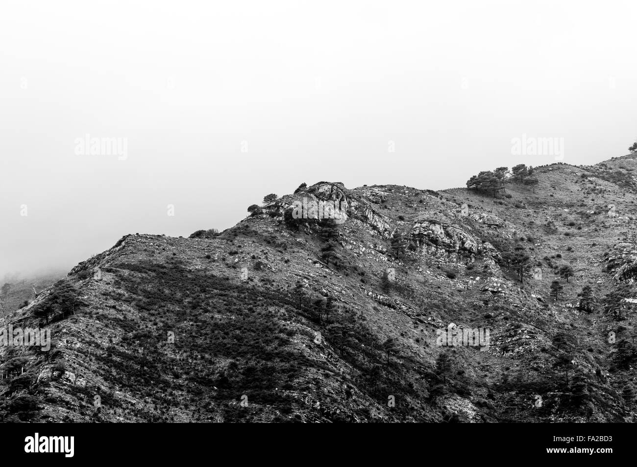 Fog in tuscany Black and White Stock Photos & Images - Alamy