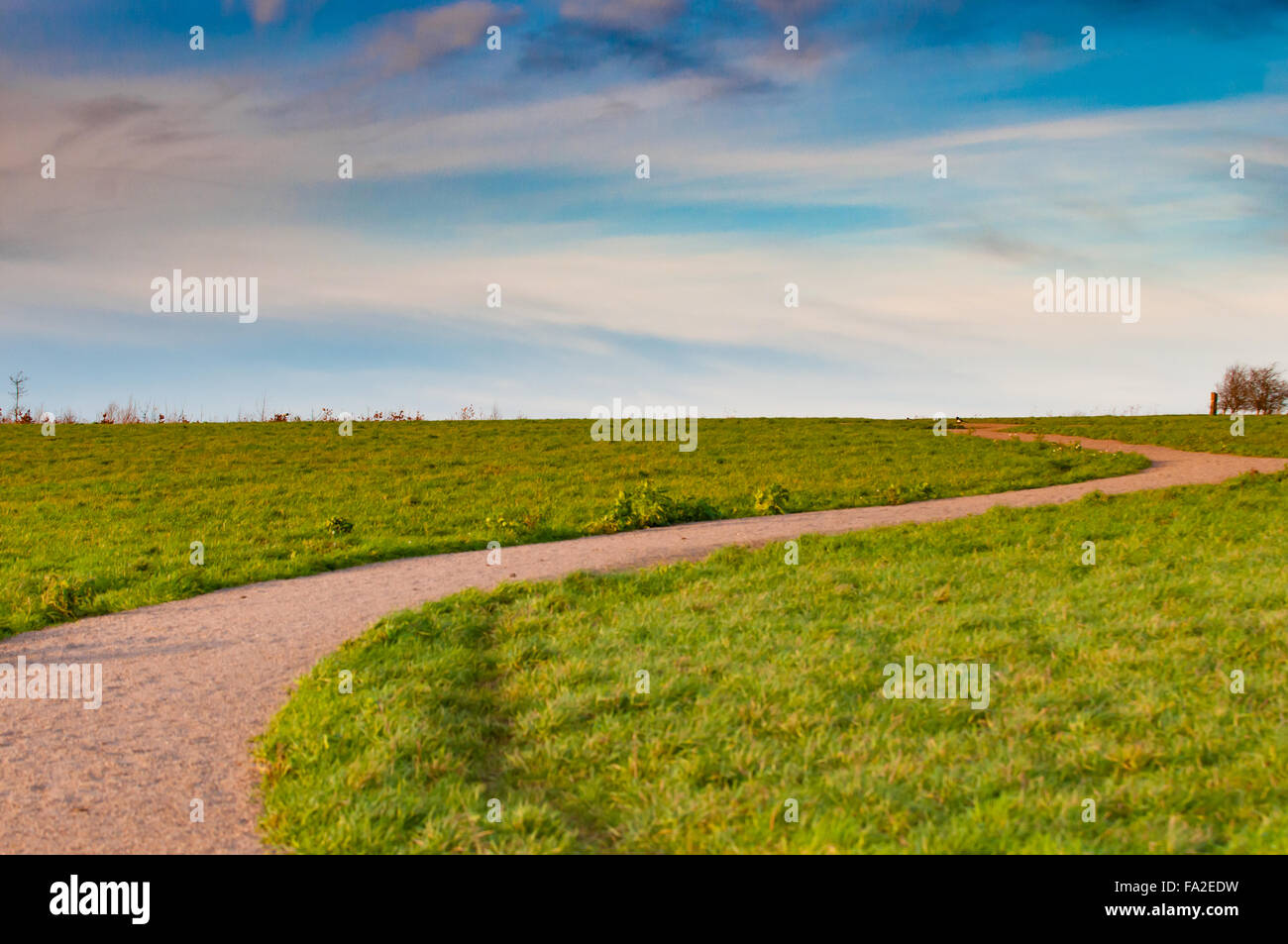 Winding path through a grassy field in a nature reserve Stock Photo