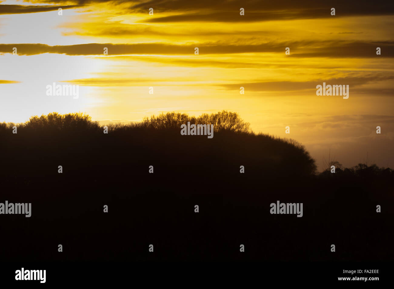 Yellow Sun setting over silhouetted trees Stock Photo