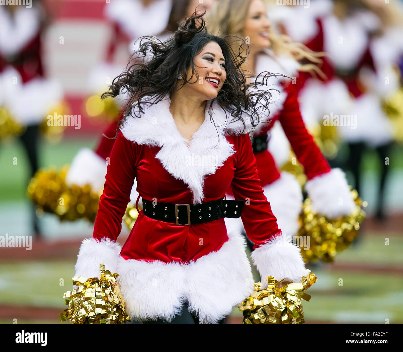 Halftime. 20th Dec, 2015. A Cincinnati Bengals fan in full costume prior to  the NFL football game between the Cincinnati Bengals and the San Francisco  49ers at Levi's Stadium in Santa Clara