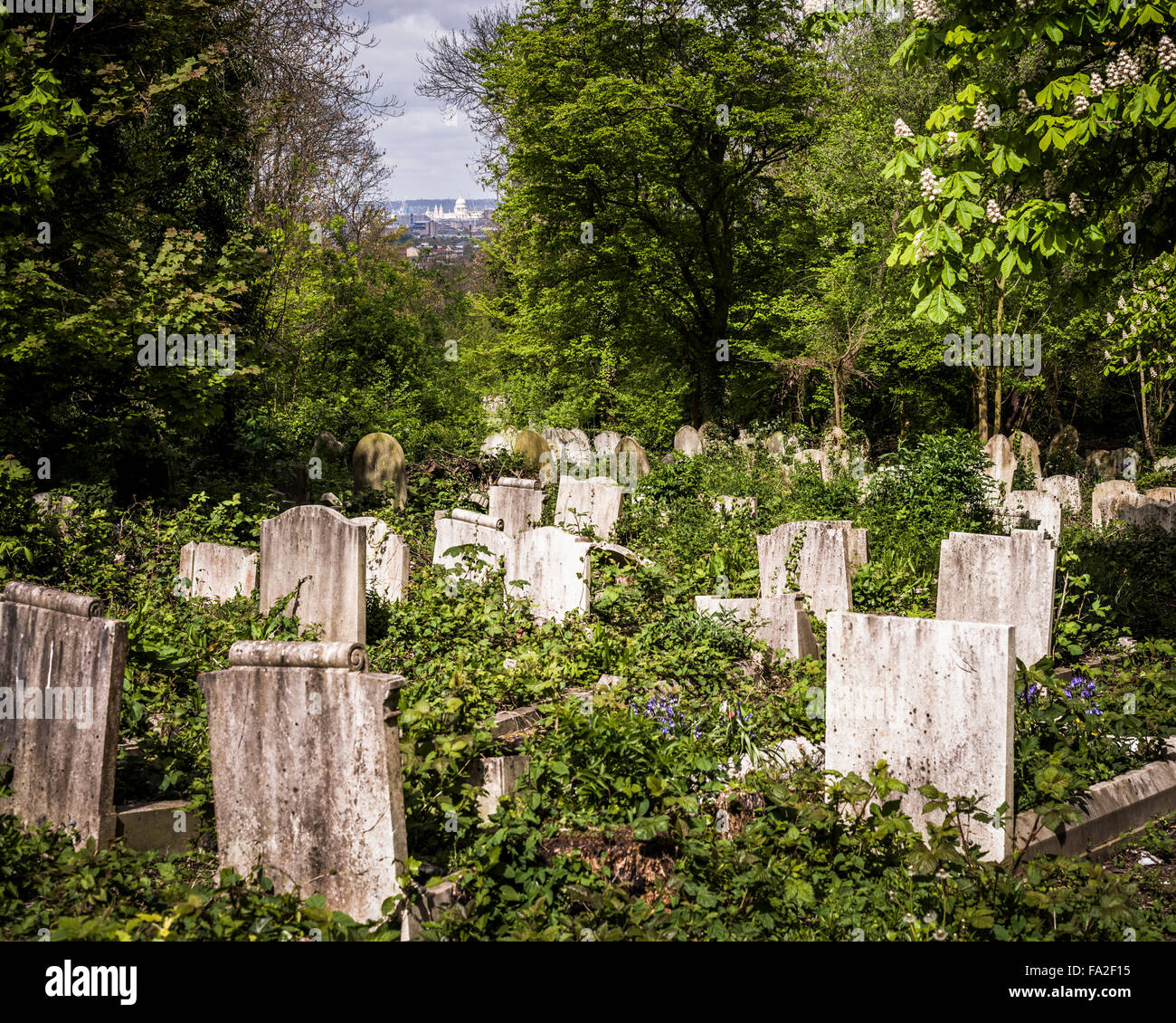 St Pauls cathedral in the distance from a South London cemetery, London, UK Stock Photo