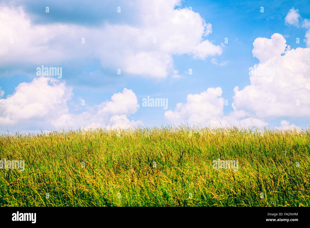 Sunny sky and clouds hi-res stock photography and images - Alamy