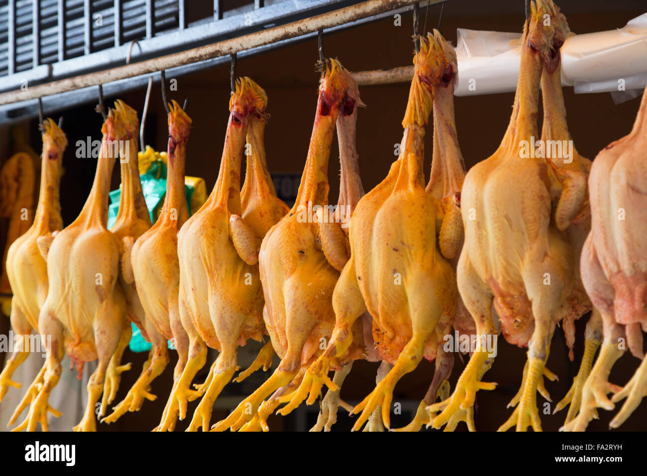 Photograph of plucked chickens hanging on the market in Huaraz, Peru. Stock Photo