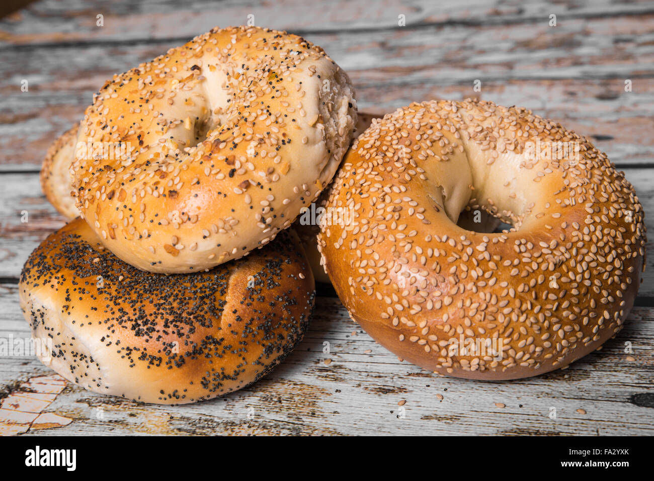 Authentic New York style bagels in