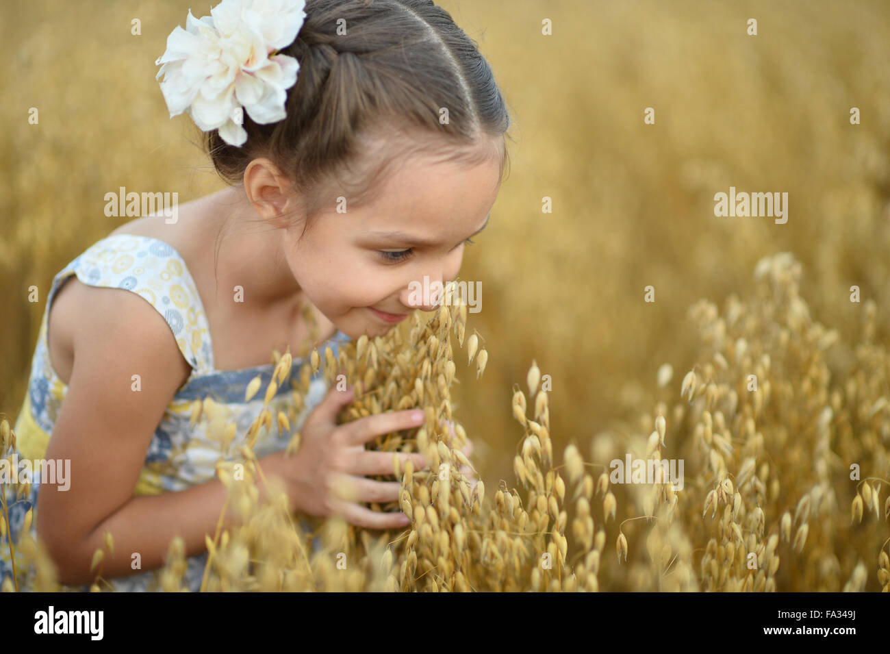Little girl in wheat field Stock Photo - Alamy