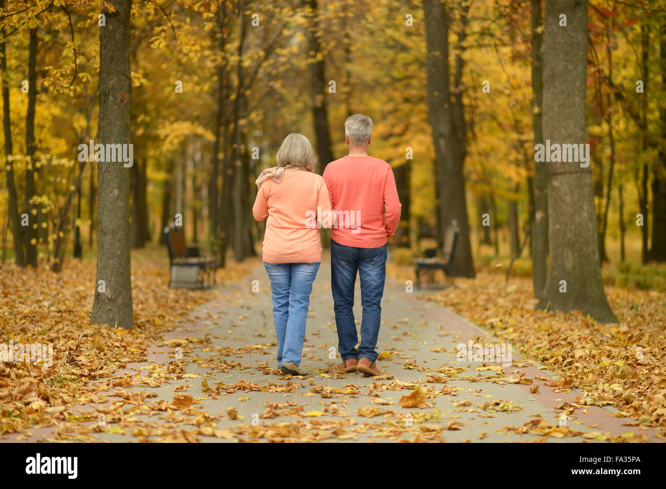 Senior couple in autumn park Stock Photo - Alamy