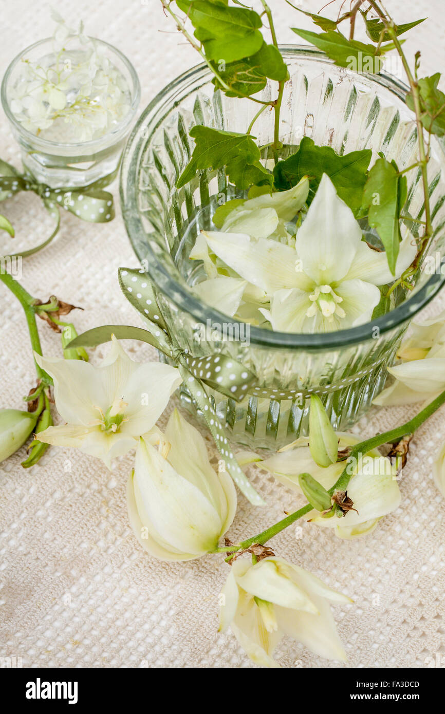 Material Yucca Flowers Hydrangea Parthenocisus Tricuspid Glass