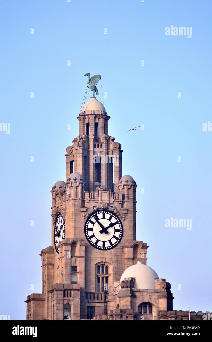 The Liver Bird Building in Liverpool Stock Photo