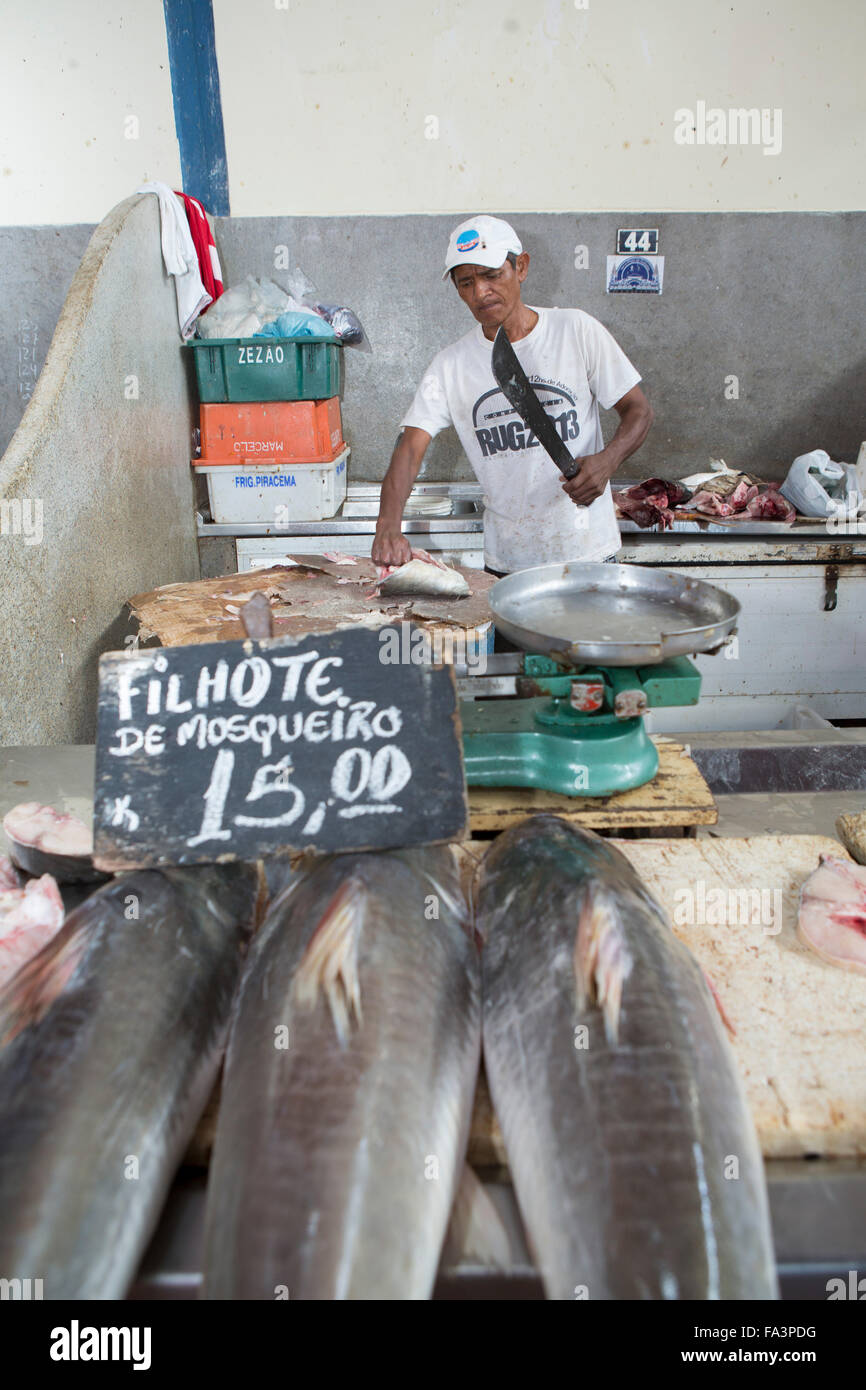 Filhote (kumakuma or piraíba, scientific name: Brachyplatystoma filamentosum) - a giant Amazon river catfish for sale in Manaus fish market, Brazil Stock Photo