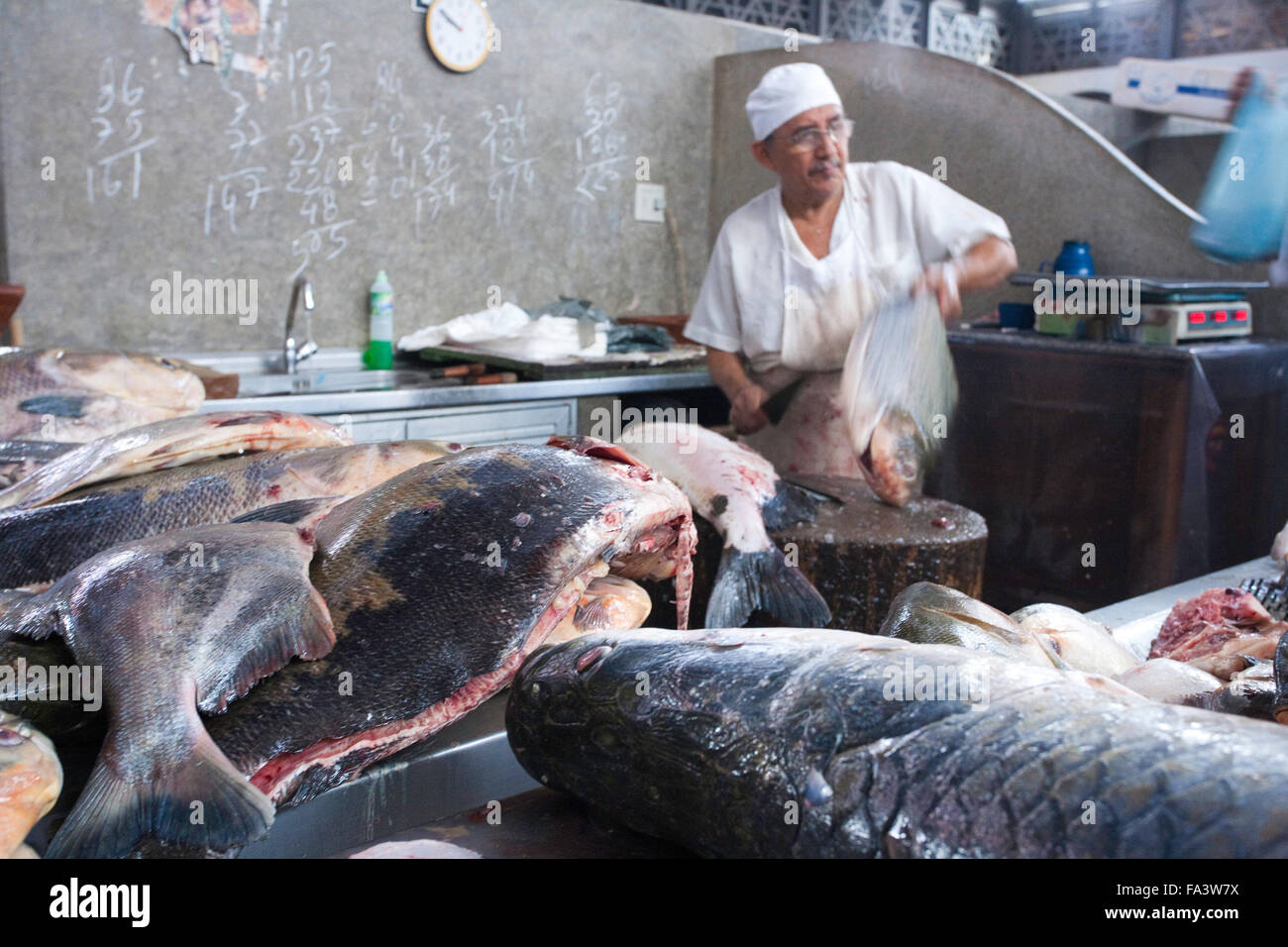 Amazon river fish for sale in Manaus fish market Stock Photo