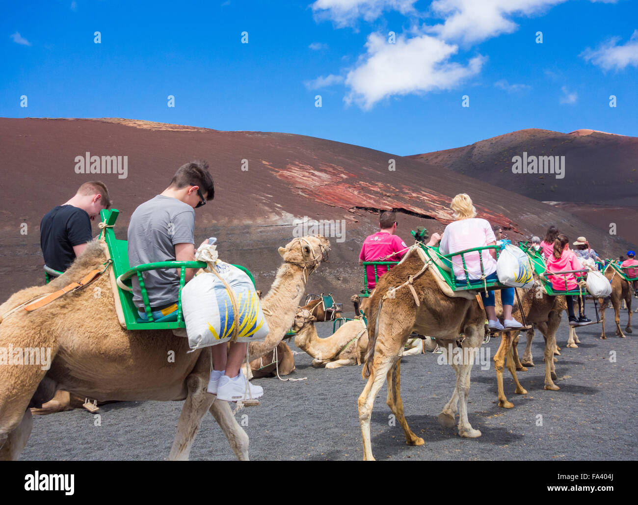 Two teenage boys looking at mobile phones on camel tour in Timanfaya national park. Lanzarote, Canary Islands, Spain Stock Photo