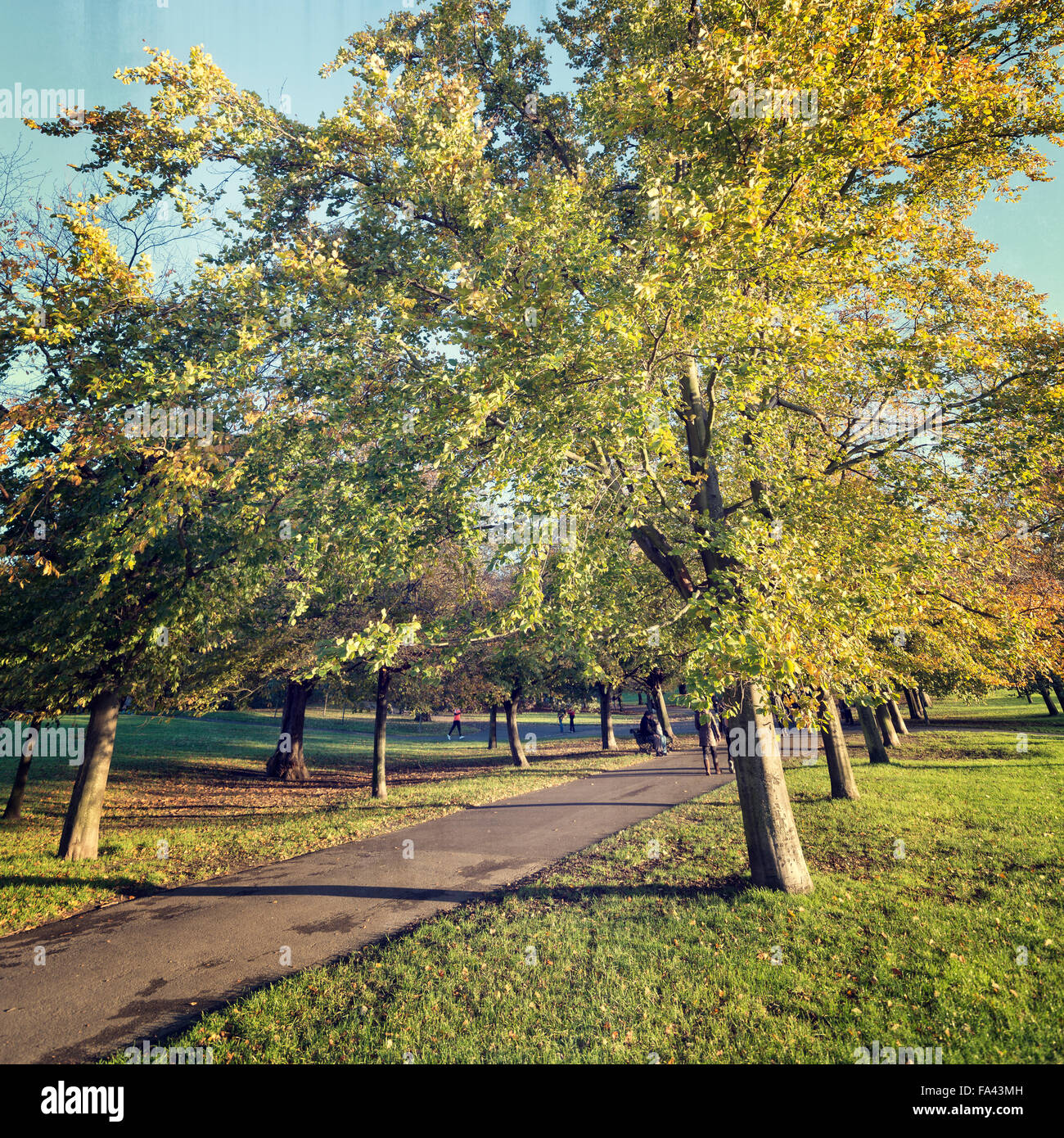 Greenwich Royal Park covers 73 hectares and is the oldest enclosed