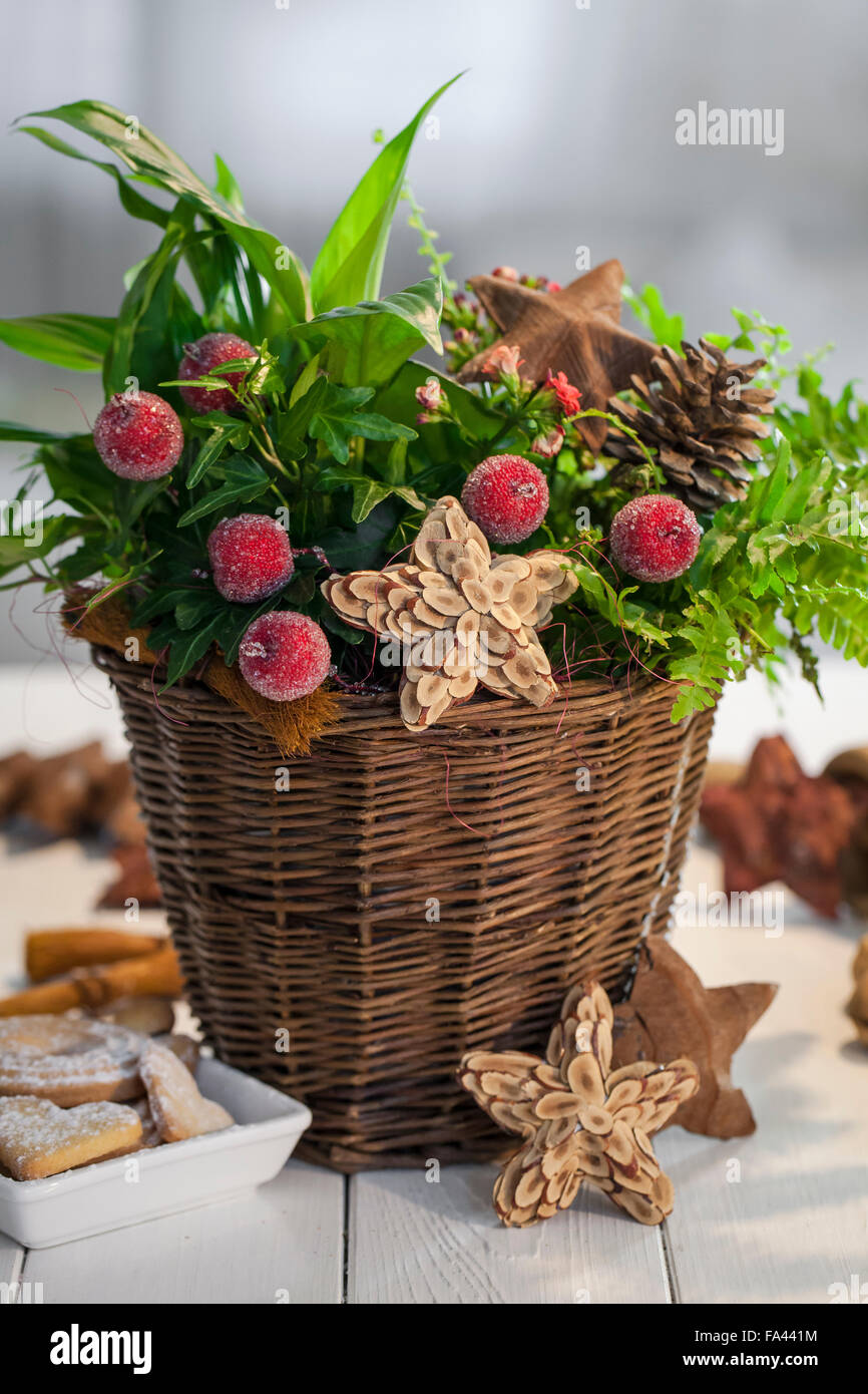 Material: basket, fern, ivy, yuca, Christmas balls, cone, star of bark.  Procedure: Basket plant plants and injects it into Christmas ornaments and  pine cone with stars through the wire Stock Photo -