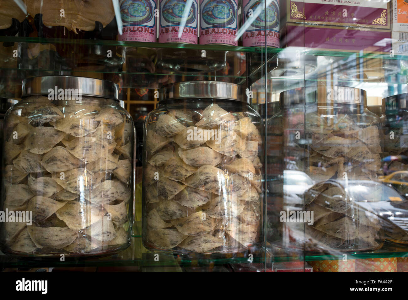 Swallow nests hires stock photography and images Alamy