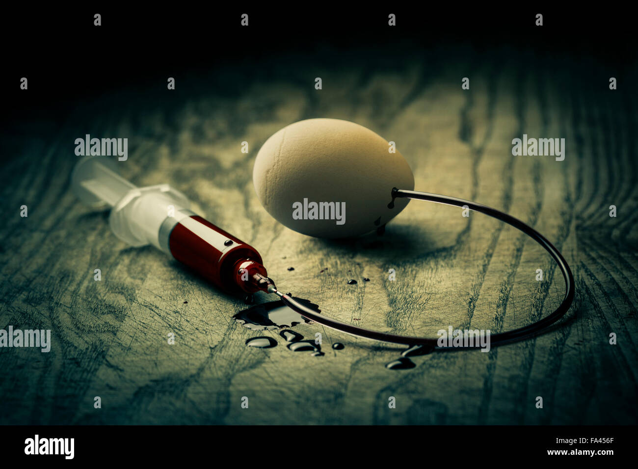 Bloody experiments on chicken eggs. Stock Photo