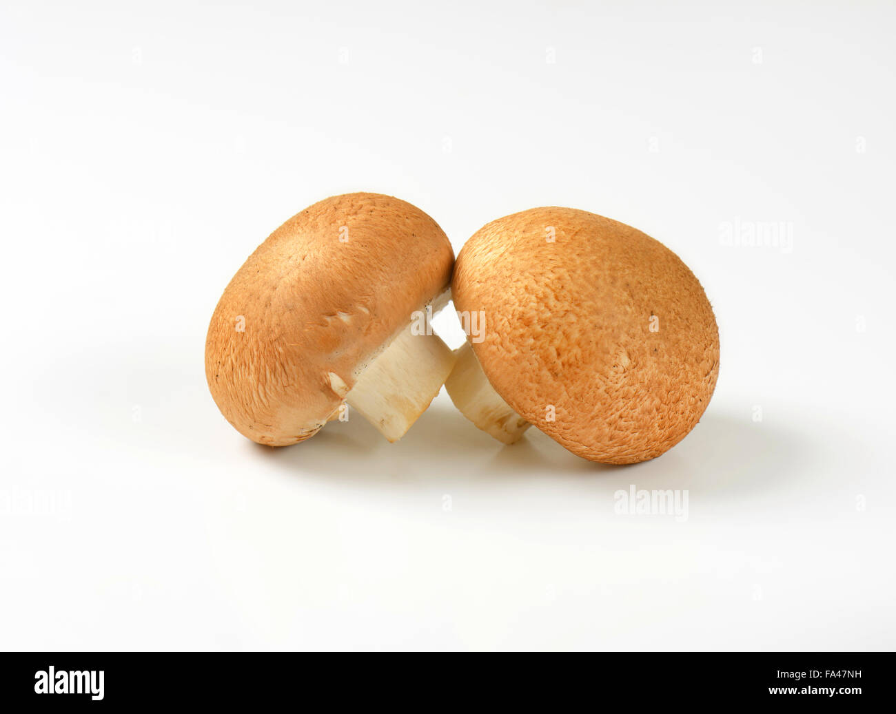 Two fresh Swiss Brown mushrooms Stock Photo Alamy