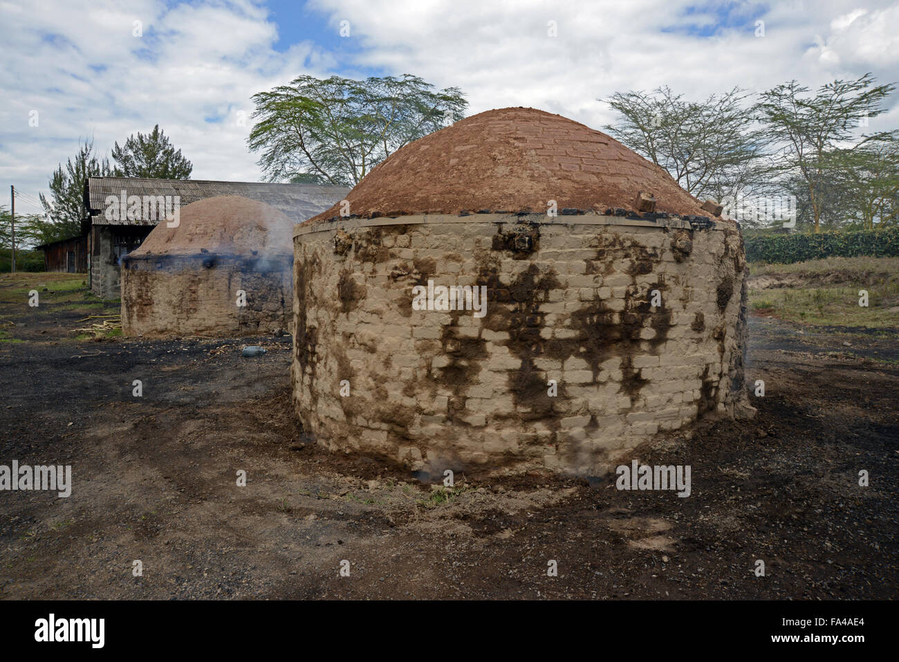 Traditional charcoal making kilns burning charcoal in Kenya at Soysambu