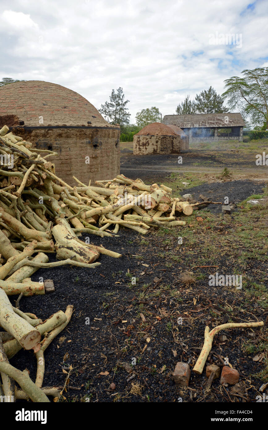 Traditional charcoal making kilns in Kenya at Soysambu conservancy near