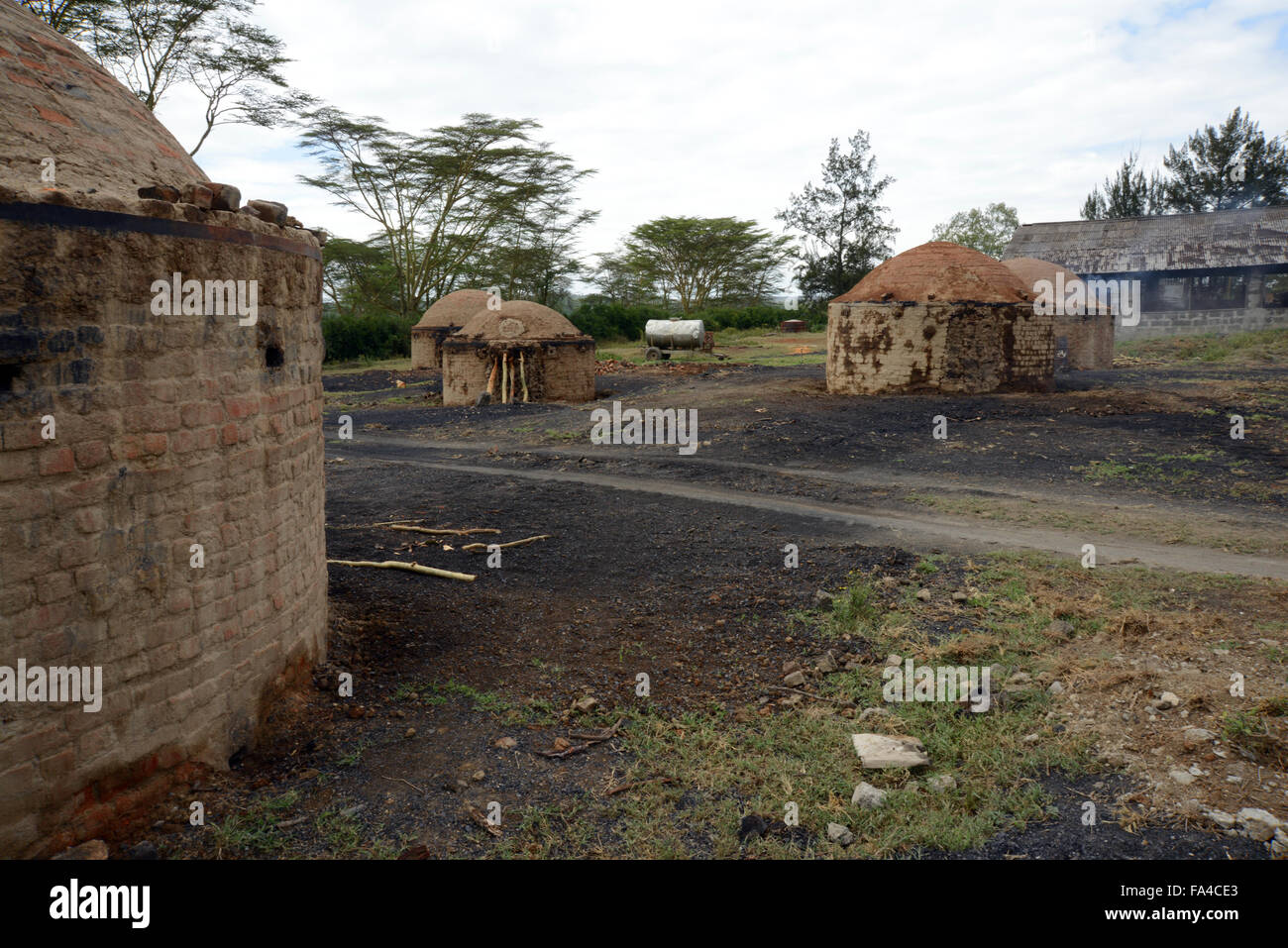 Traditional charcoal making kilns in Kenya at Soysambu conservancy near