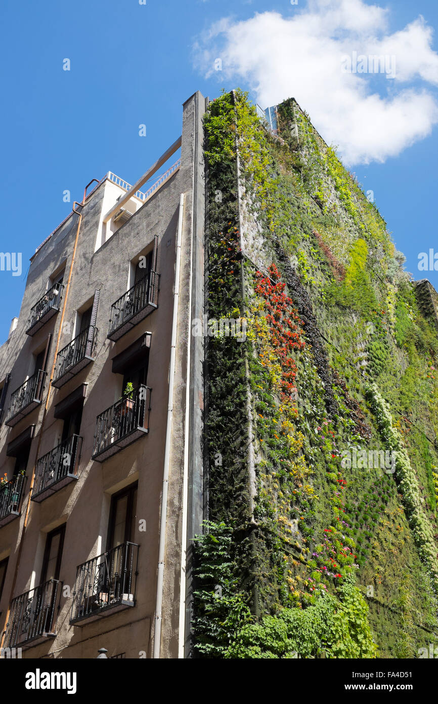 Living Plant Wall outside the Caixa Forum Museum in Madrid Stock Photo
