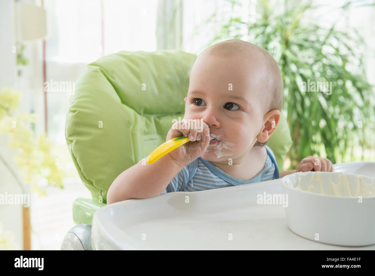 Cute little baby boy eating food on high chair, Munich, Bavaria, Germany Stock Photo