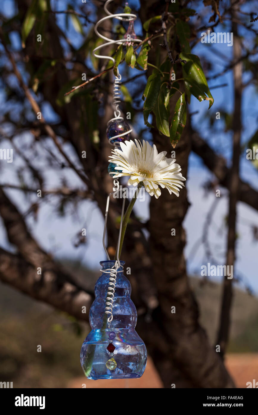 A bottle with flowers hanging in a tree as decorations for an outdoor