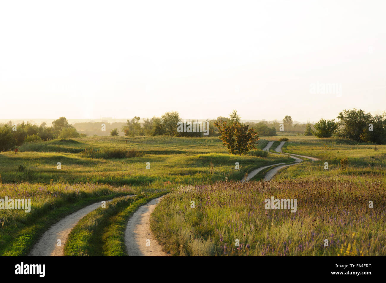 Summer Landscape with road and green grass. Sunset Stock Photo