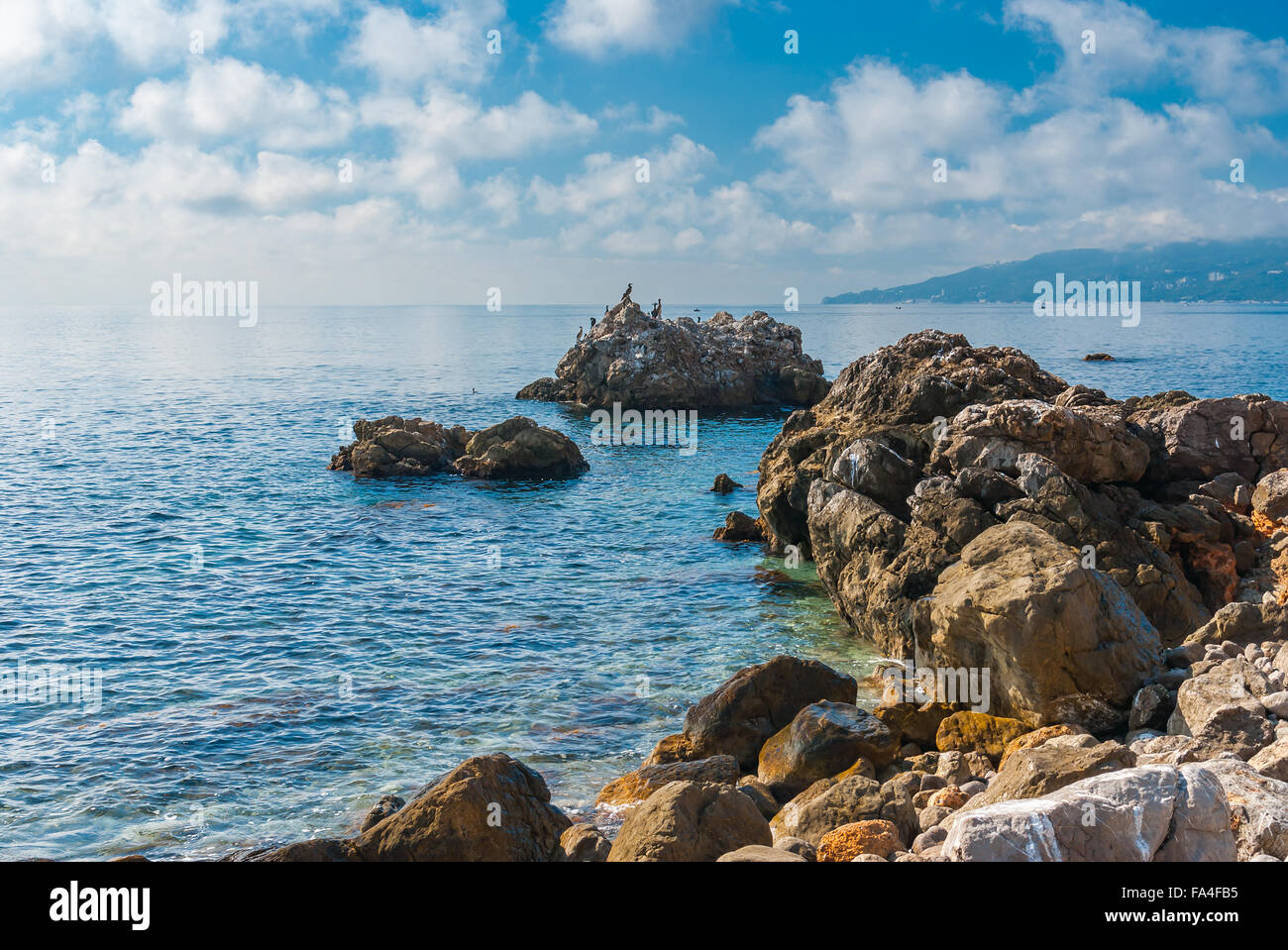 Black Sea wild water-scape with cormorants, Crimean peninsula near Yalta city Stock Photo