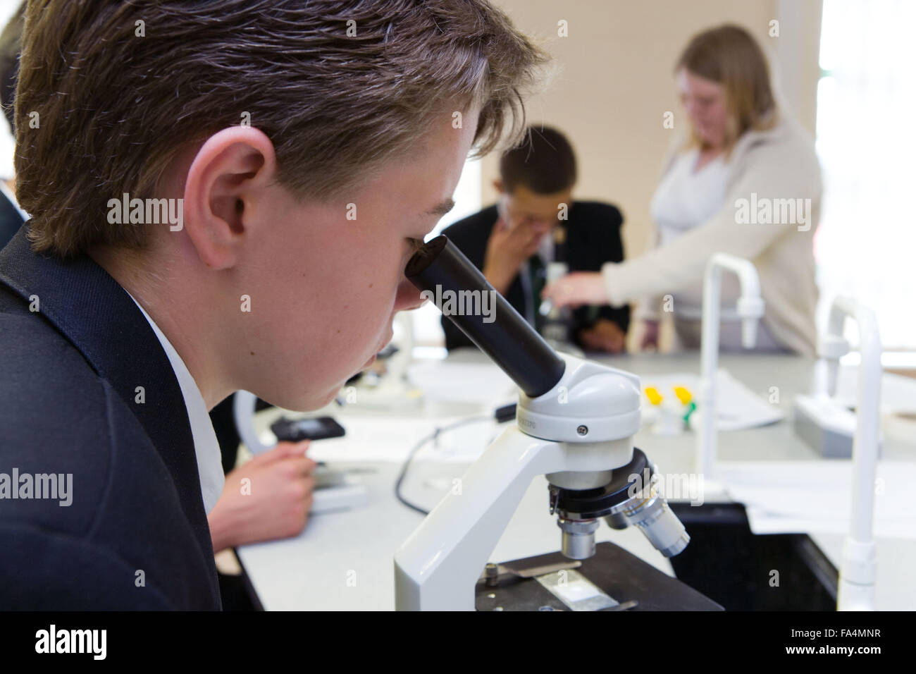Secondary School students using microscopes to examine dust particles