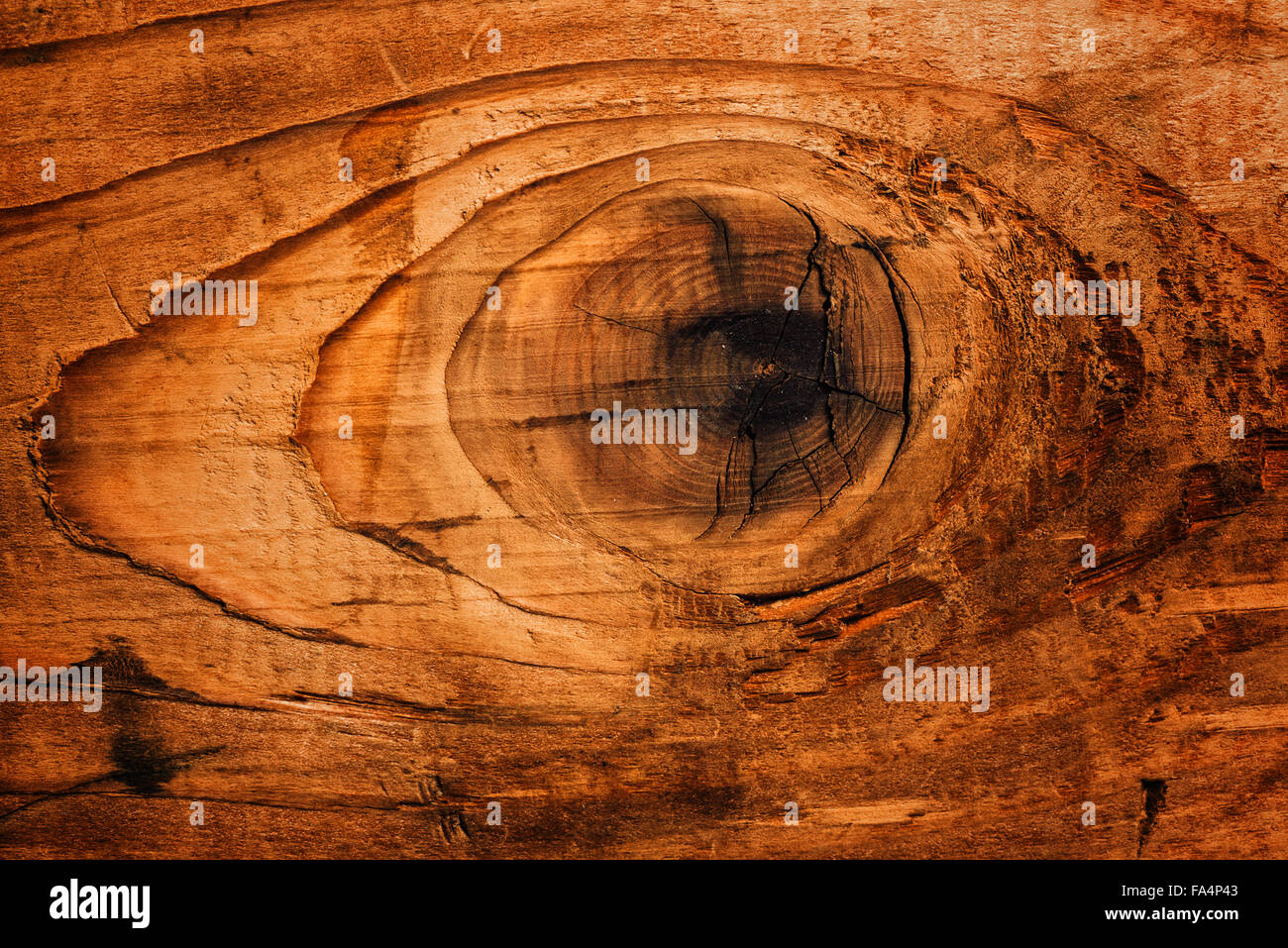Old oak board wood knot natural texture Stock Photo