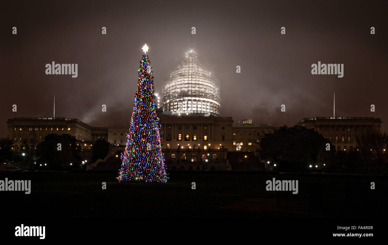 The U.S Capitol Christmas tree illuminated and shrouded in fog December