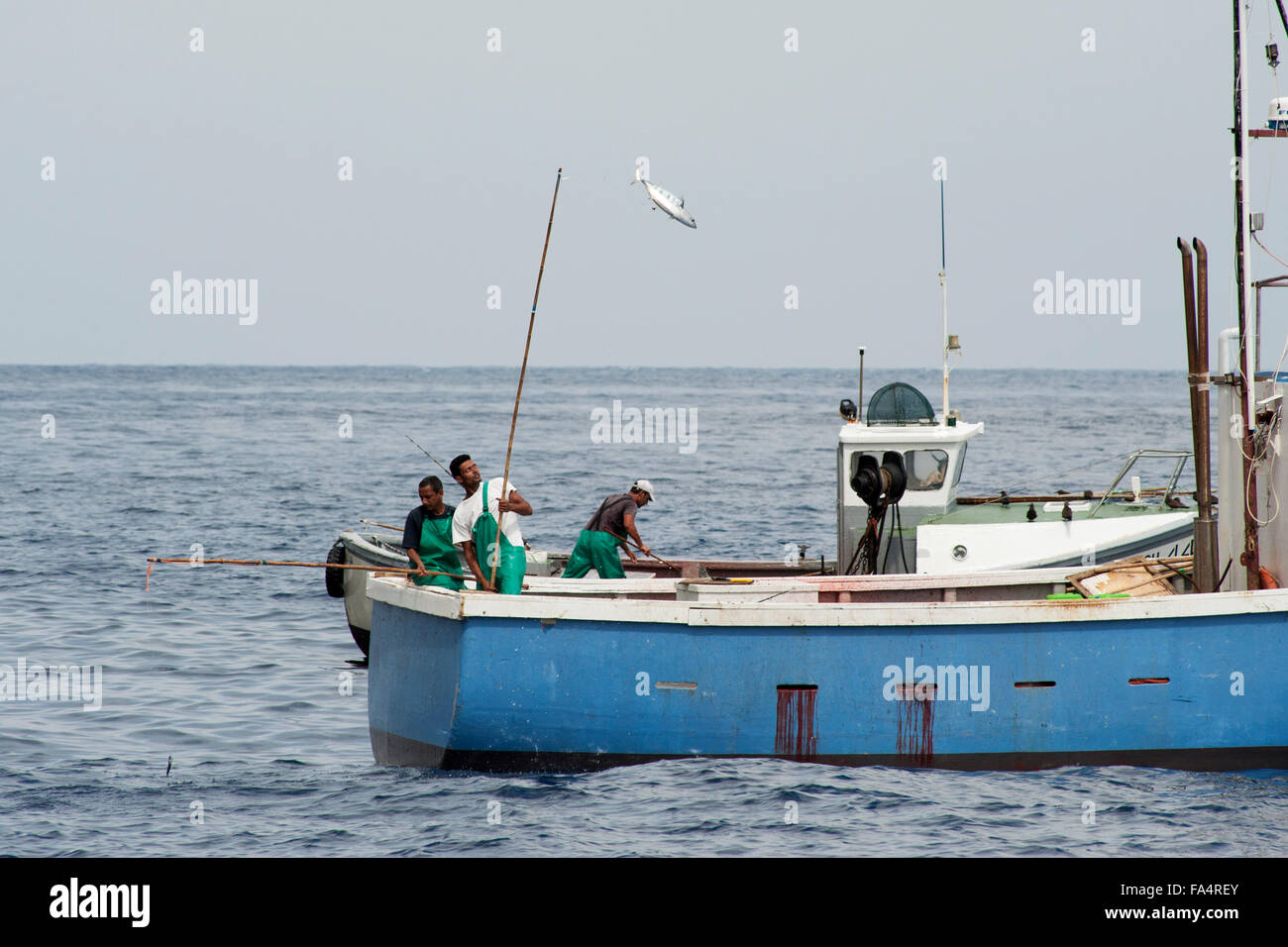 Tuna fishing pole and line hi-res stock photography and images - Alamy