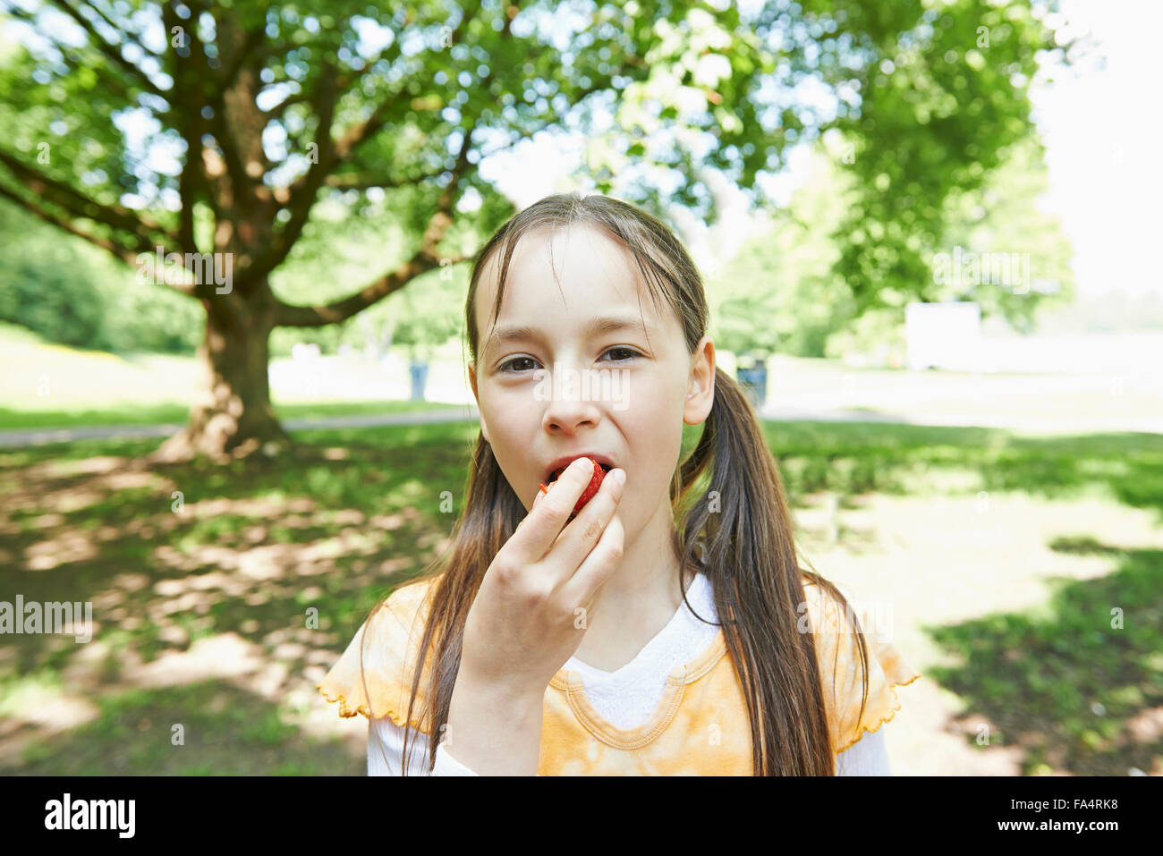 Portrait of a girl eating strawberry in park, Munich, Bavaria, Germany Stock Photo